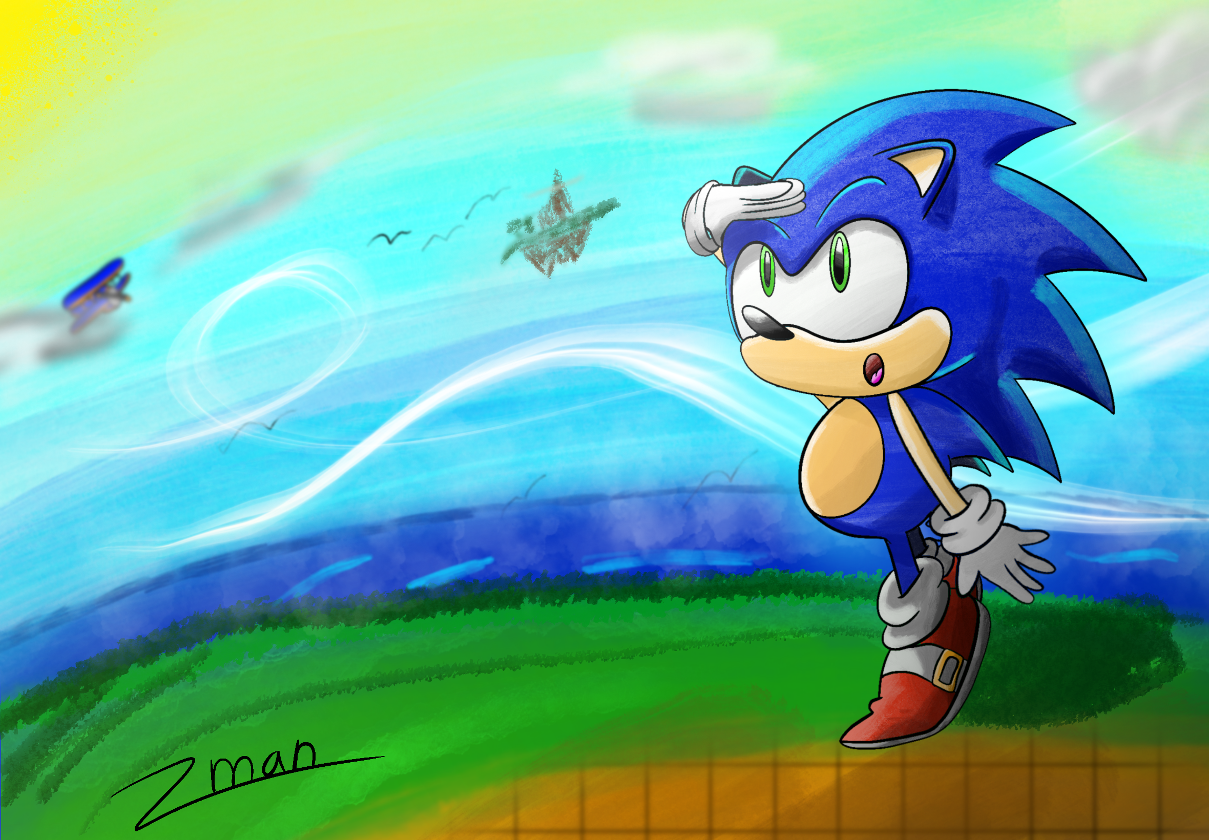 Sonic horizon