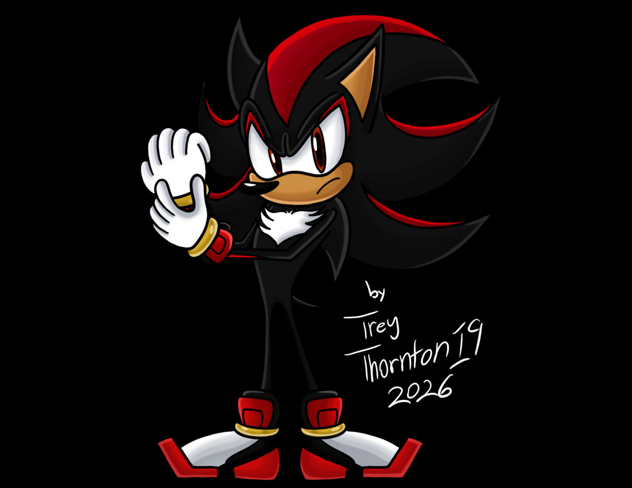 Shadow The Hedgehog (Sonic 06)