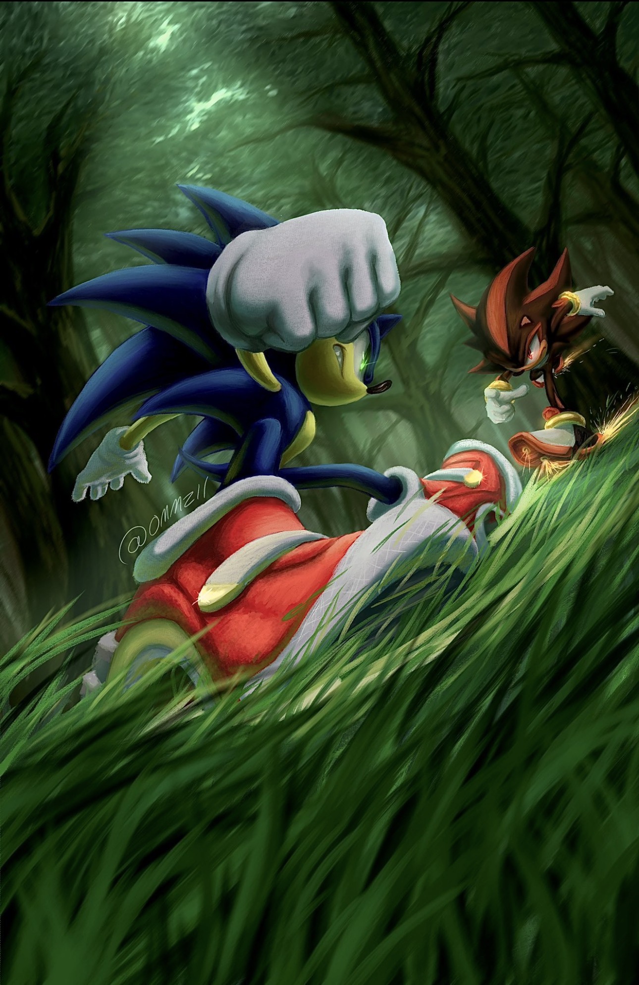 Sonic Vs Shadow