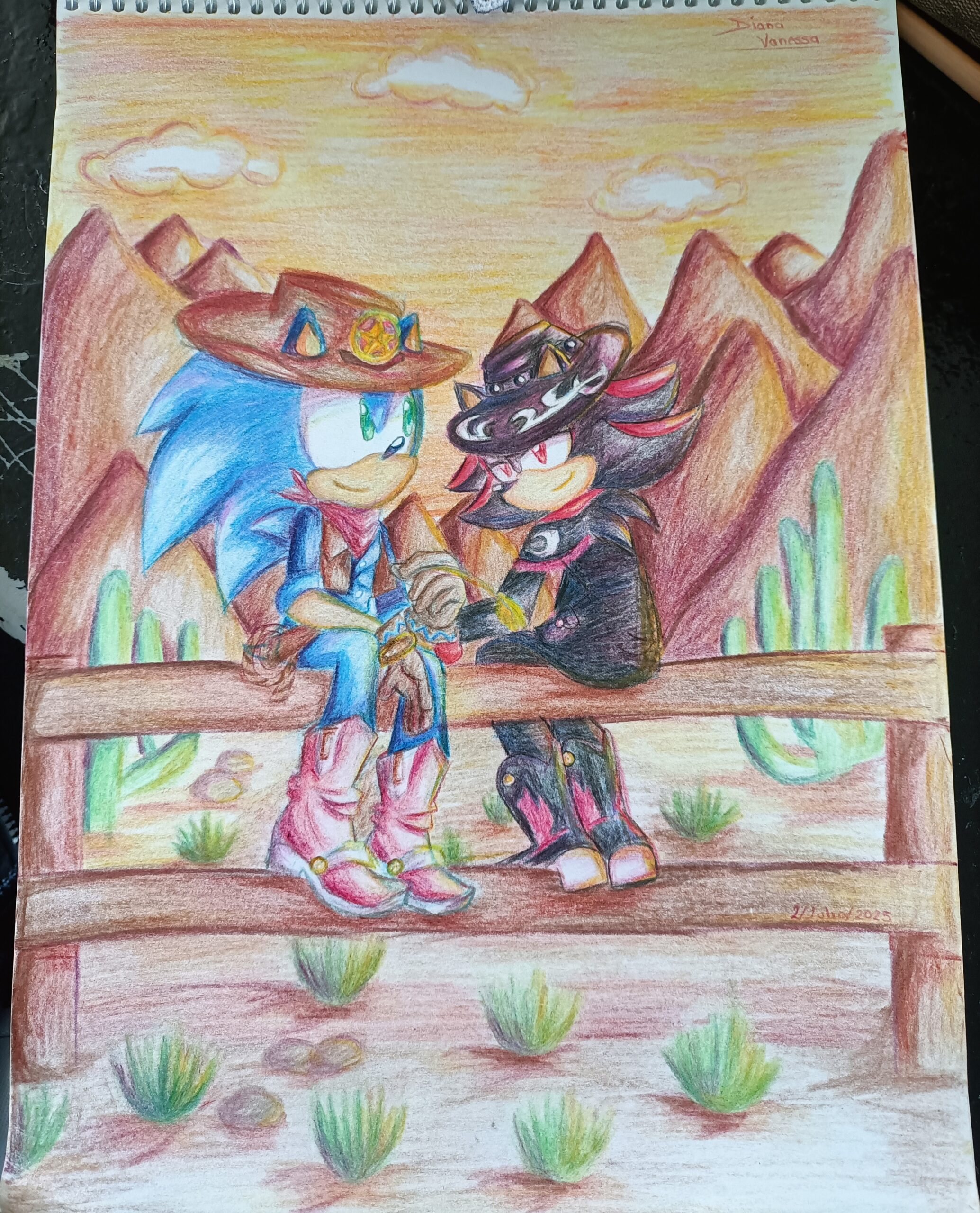 Sonic and Shadow in the Old West