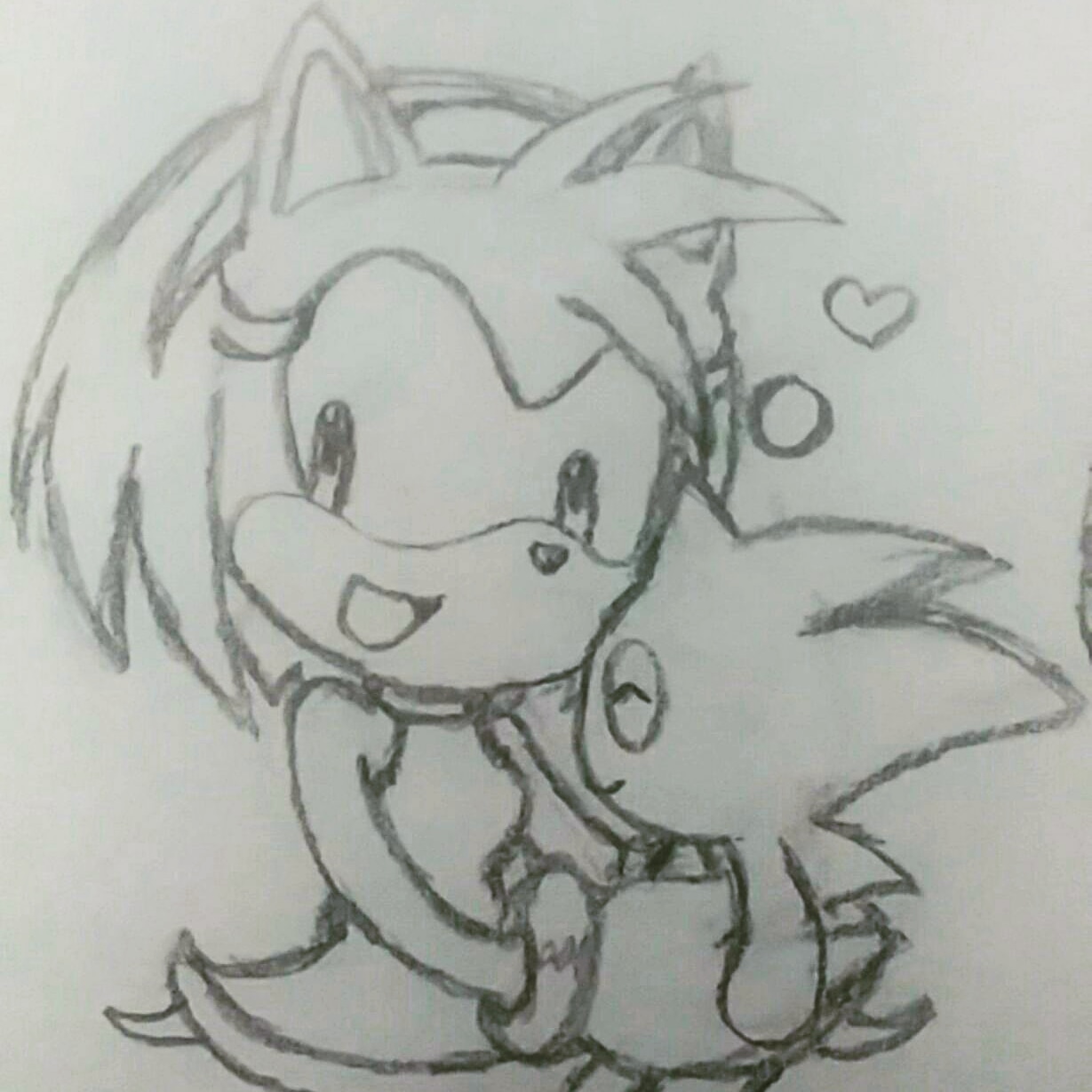 Amy’s Chao