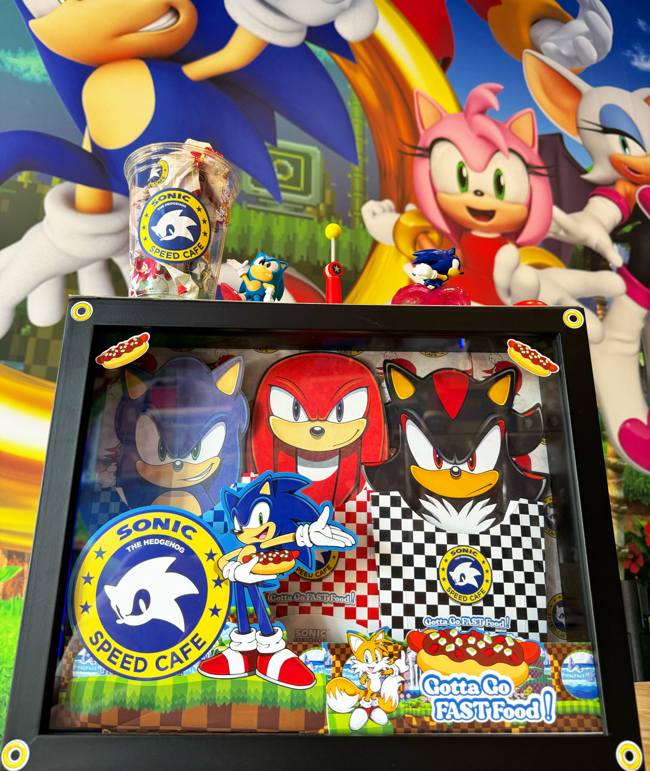 Gotta Go Fast Food