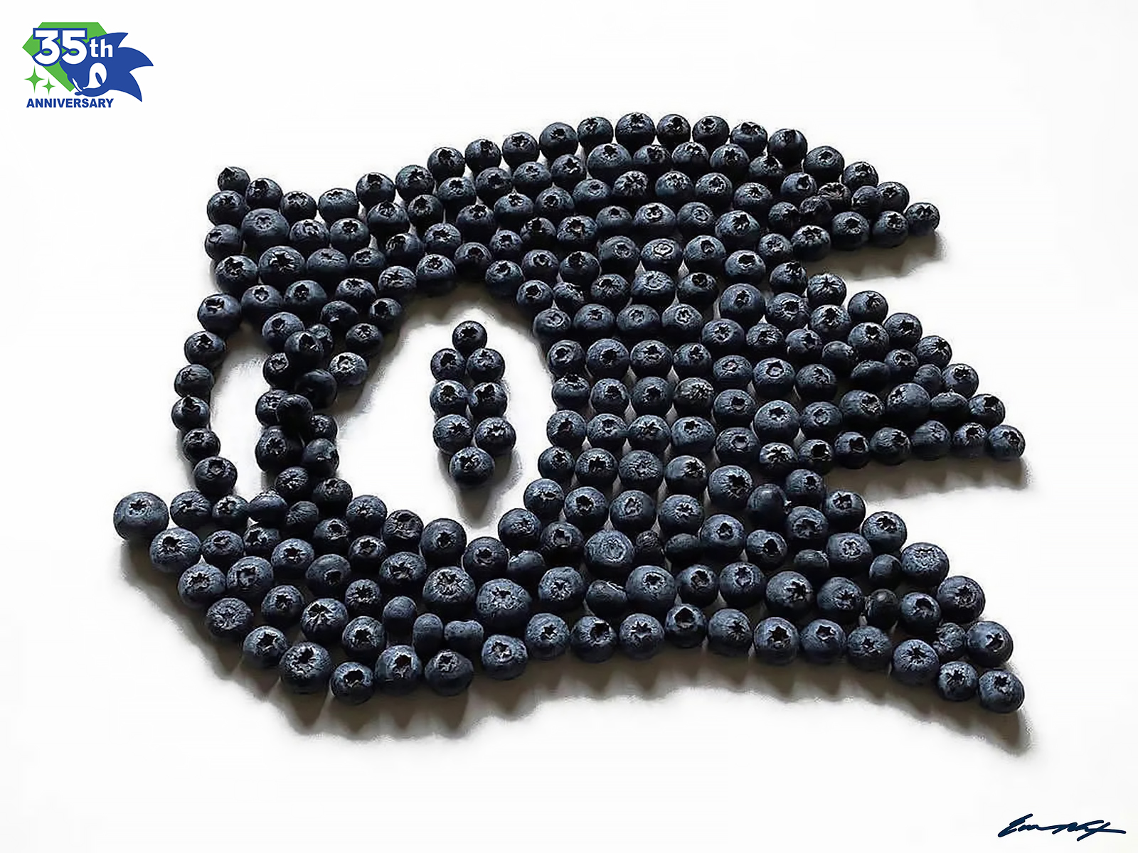 Blueberry Sonic