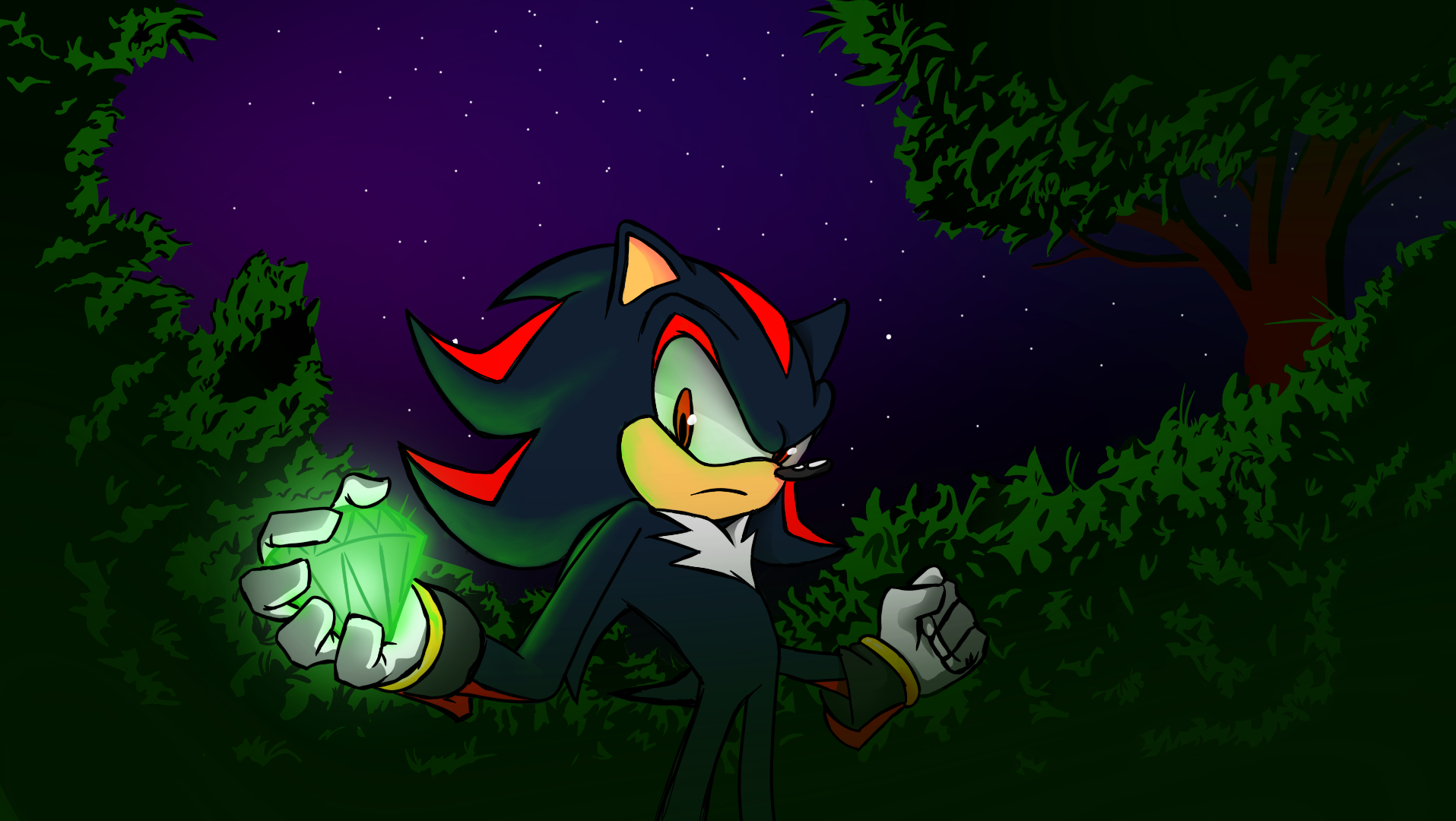 Shadow Found a Chaos Emerald!