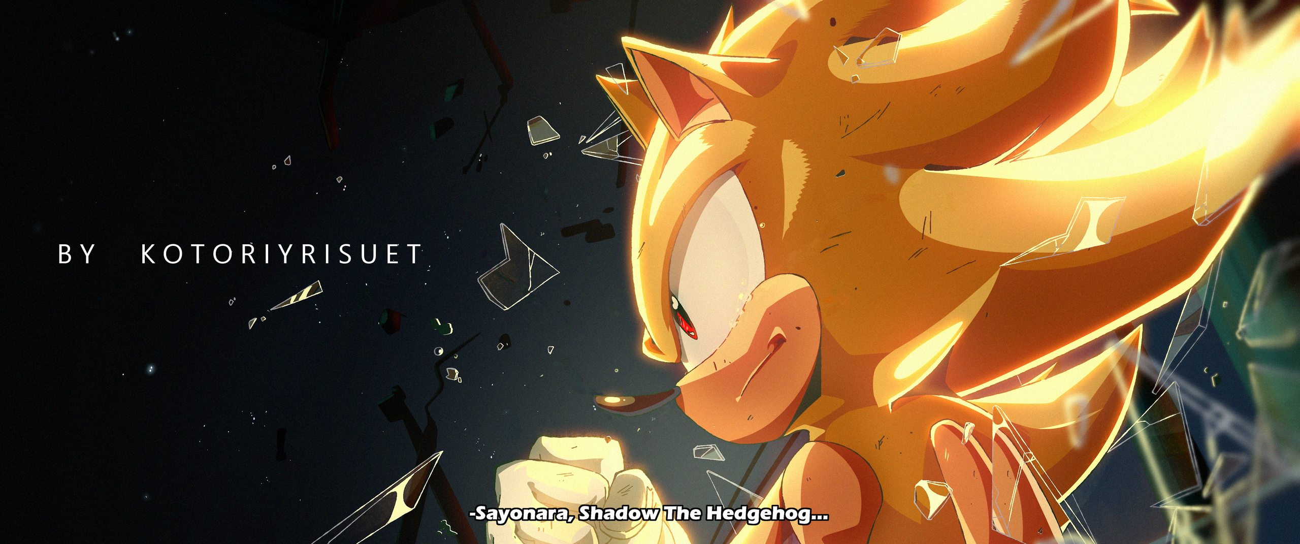 “Sayonara, Shadow the Hedgehog”
