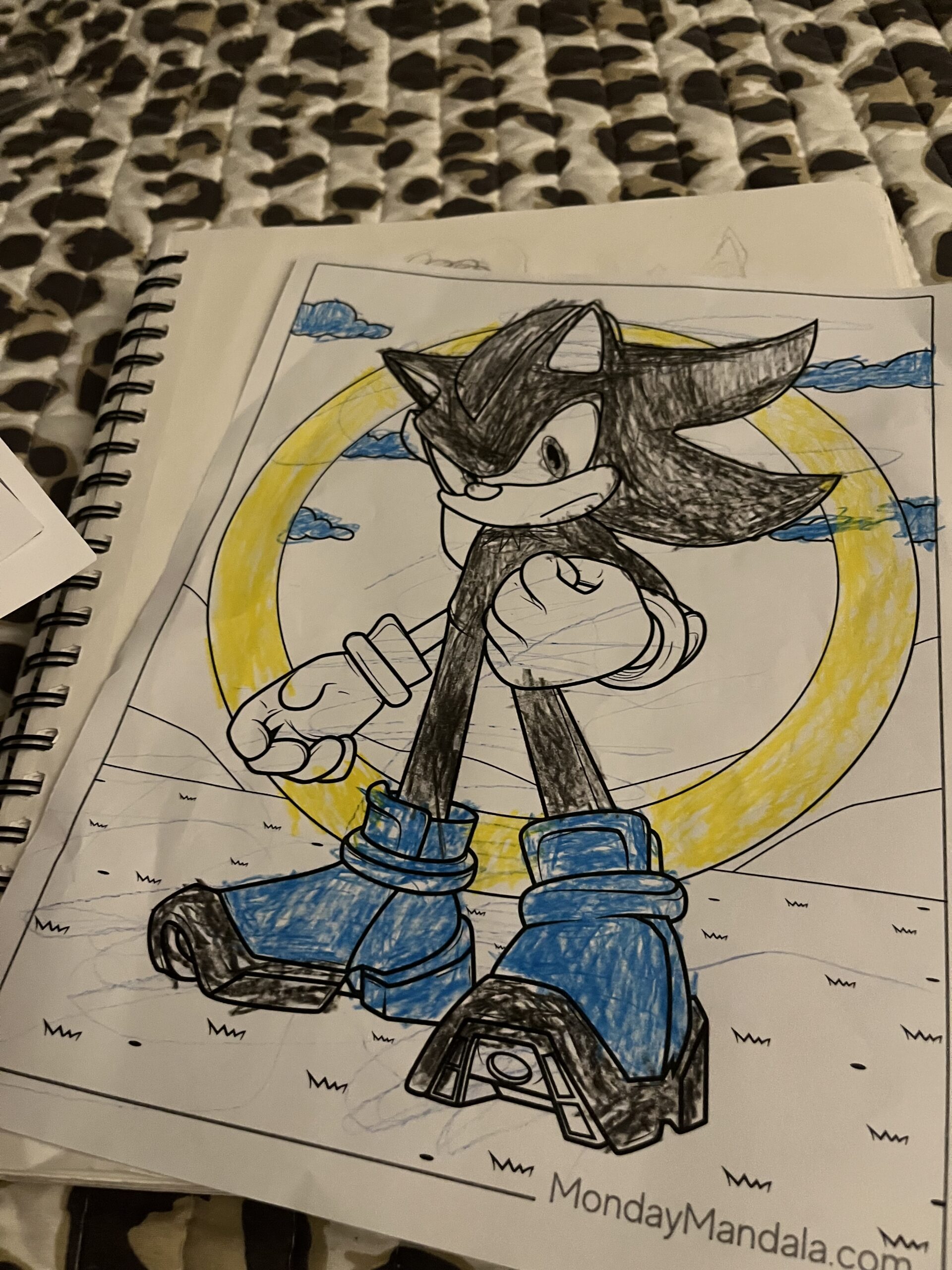 super cool sonic the hedgehog