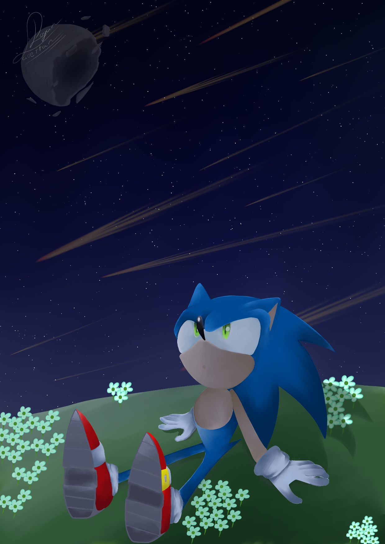 Night Under The Stars