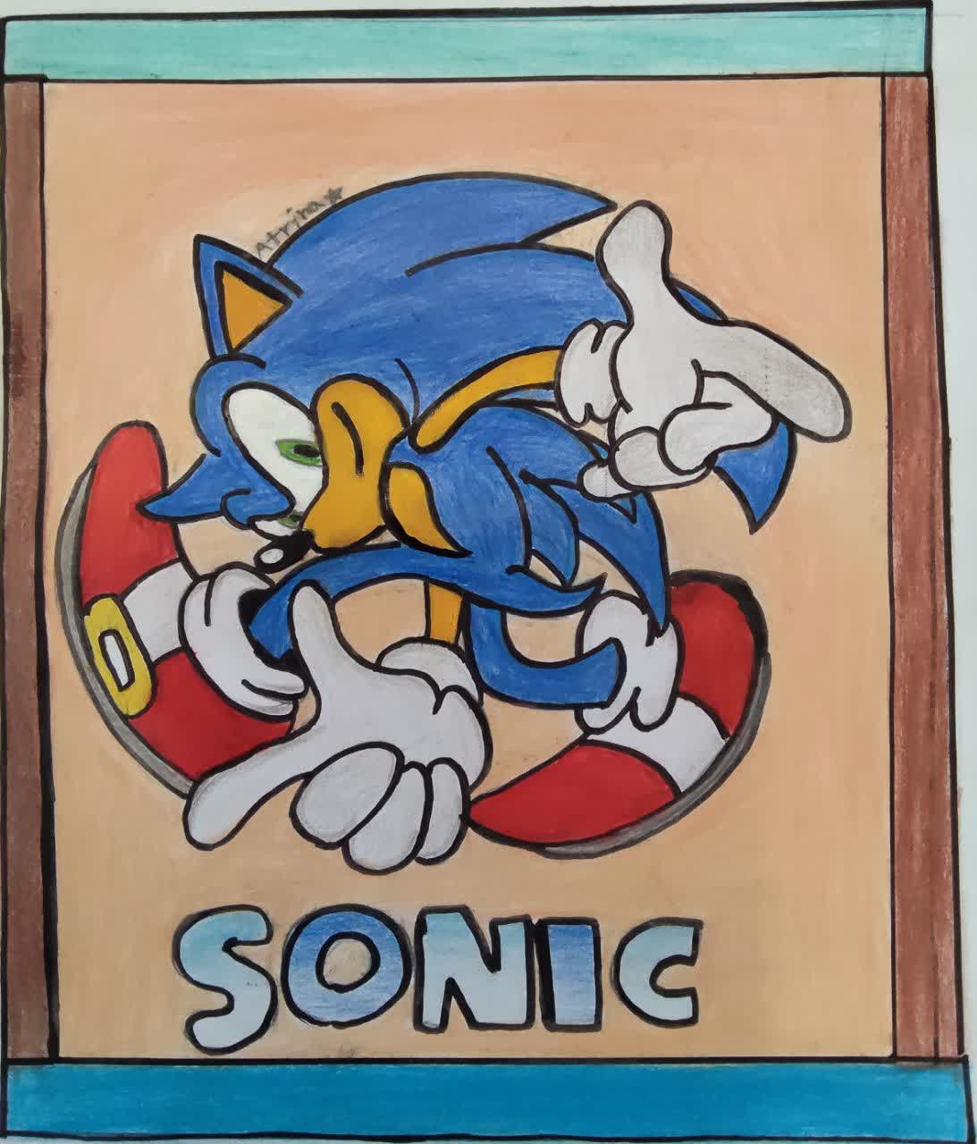 Sonic the hedgehog