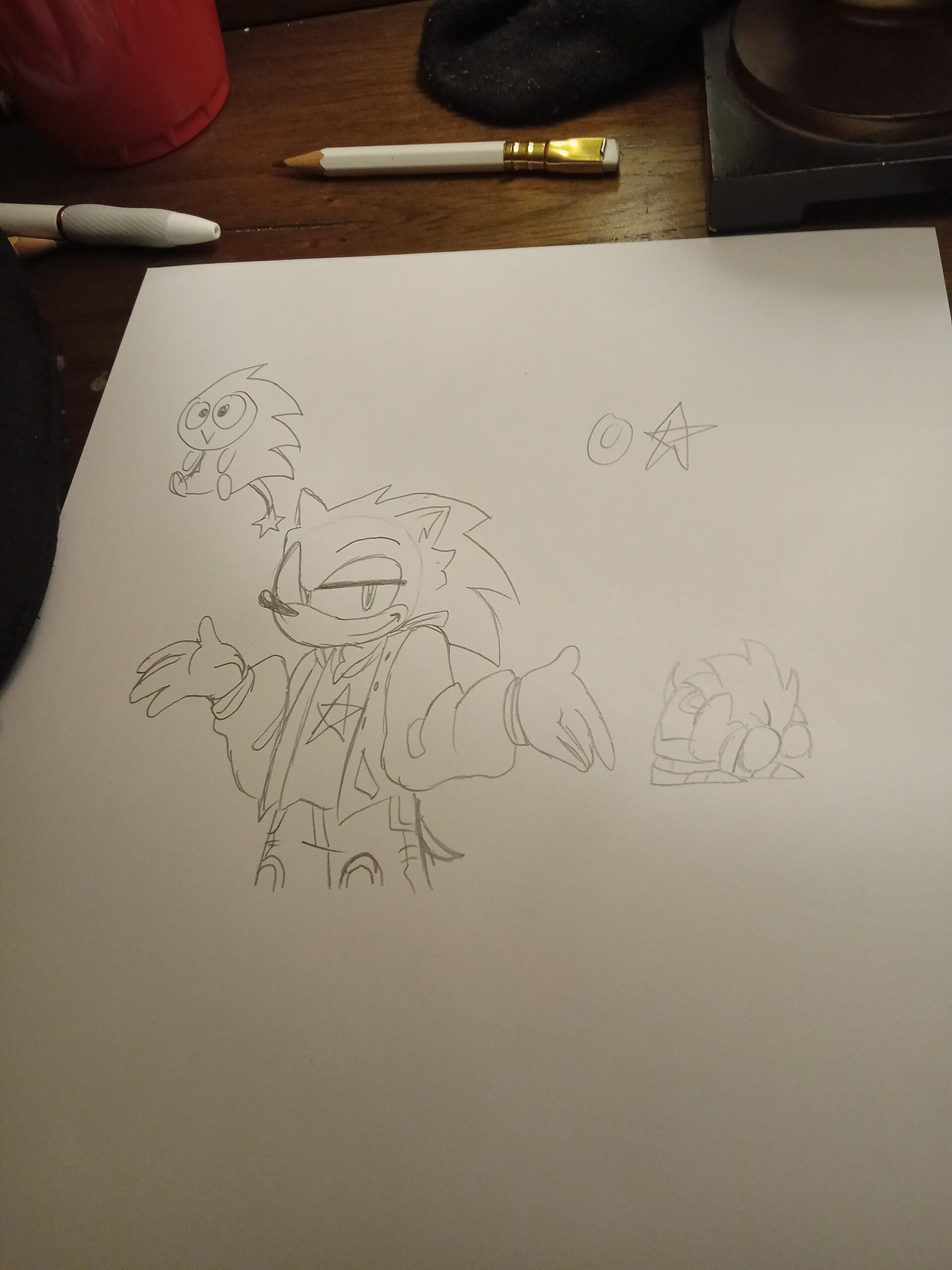 Sonic in my style